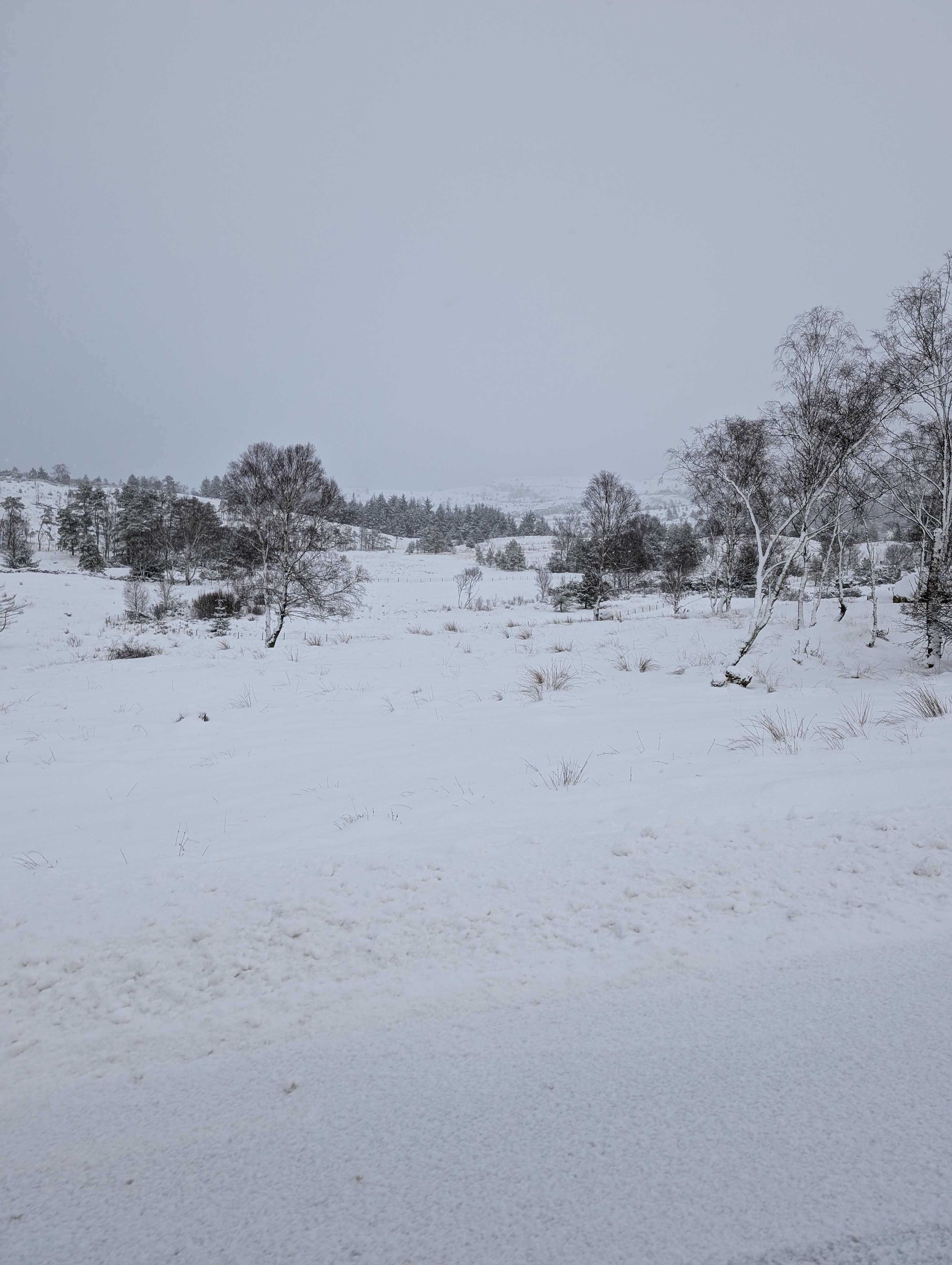sno